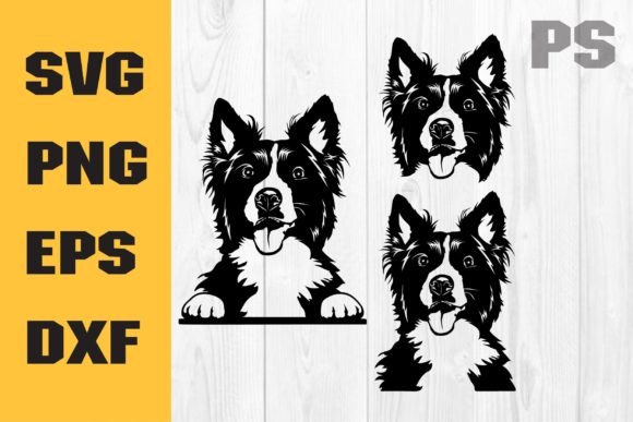 Border Collie SVG Review